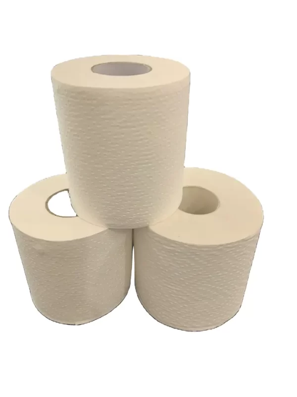 View larger image Add to Compare Share Custom Private Label Biodegradable Tree Free Bamboo Toilet Paper Roll With Core 3ply Thick and Soft White Bamboo Toilet Tissue